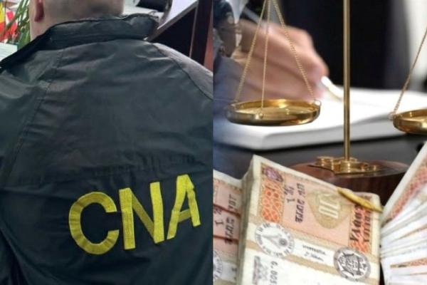 Sinteza CNA: corupție sistemică în domeniul silviculturii, condamnări și sechestre de peste 3 milioane de lei aplicate de ARBI