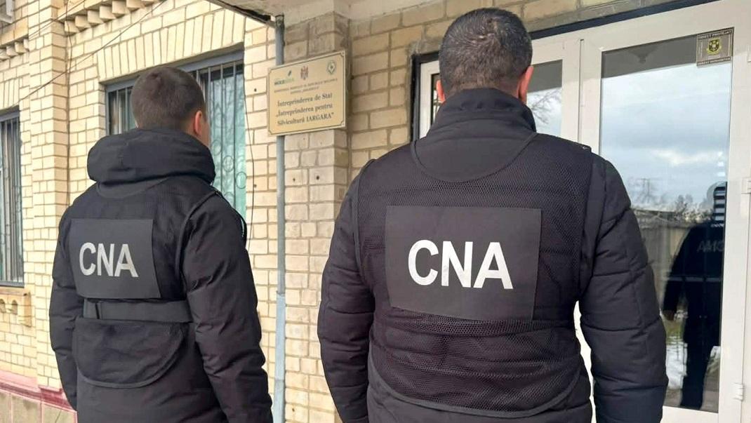 CNA efectuează percheziții într-un dosar de delapidare a fondurilor publice destinate Programului Național de Extindere și Reabilitare a Pădurilor. Prejudiciul estimat - 4 mln. de lei