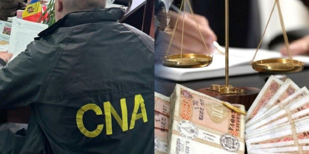 Sinteza CNA: corupție sistemică în domeniul silviculturii, condamnări și sechestre de peste 3 milioane de lei aplicate de ARBI